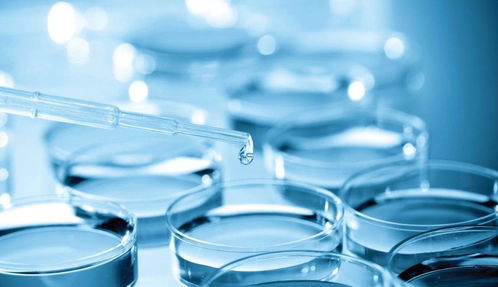 專利變現還是技術突圍？熱景生物科創板IVD首秀背后的市場考驗